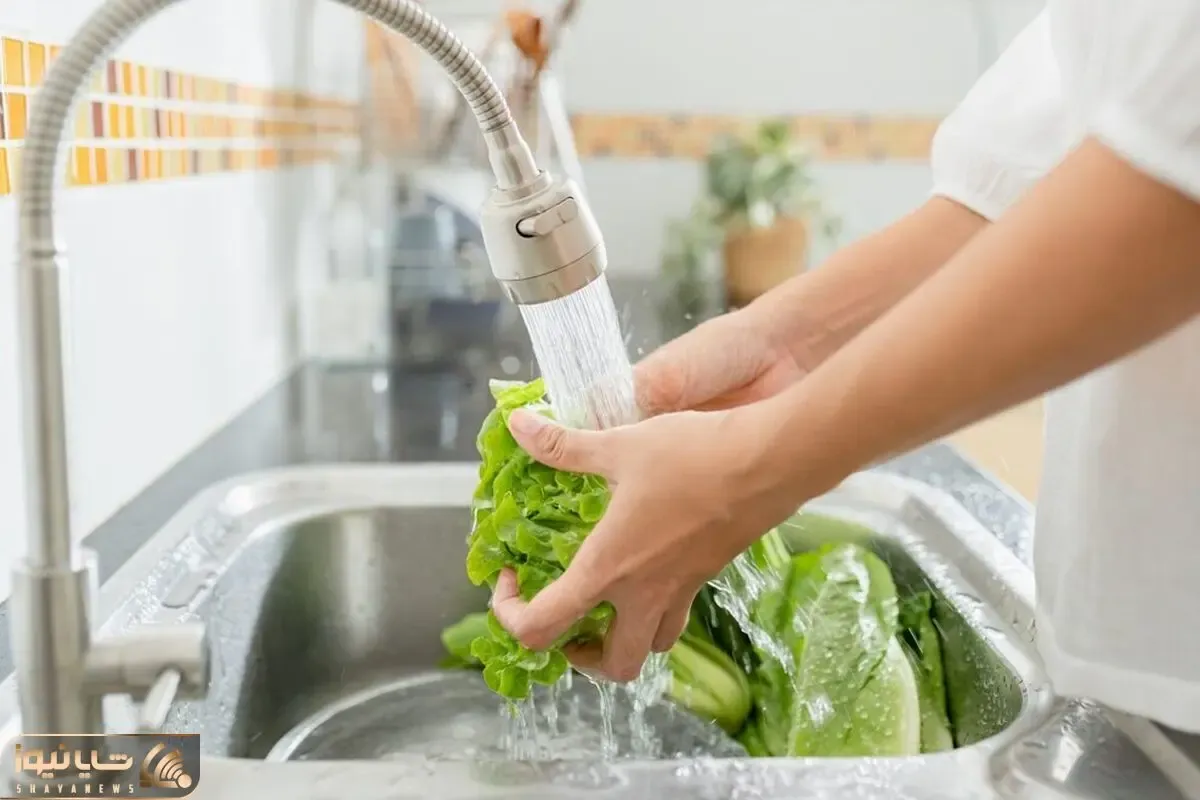 ترفندهای خانه داری؛ نحوه صحیح شستن و ضدعفونی کردن سبزیجات