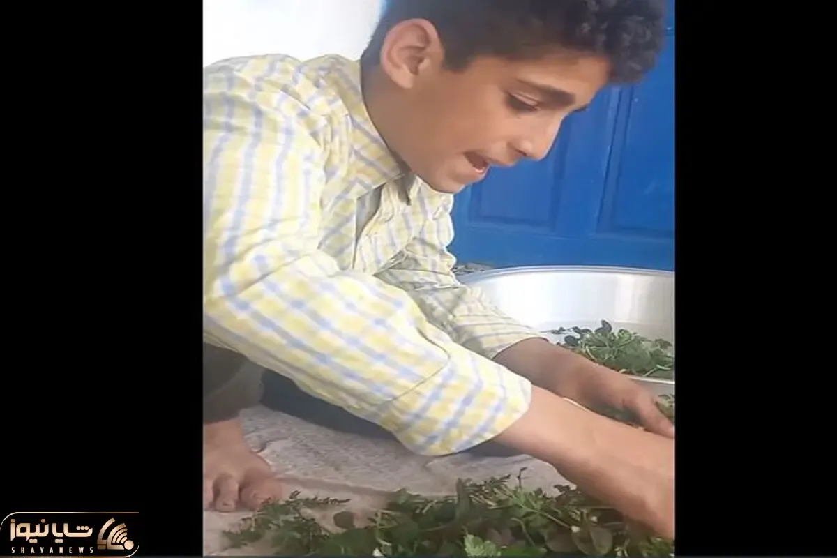 آواز احساسی؛ پسربچه شمالی با صدای سوزناکش واسه مادرش آهنگ میخوند و سبزی پاک میکرد