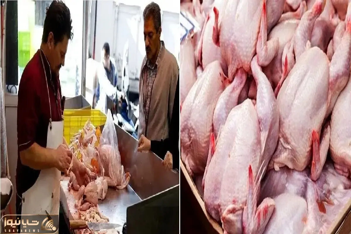 قیمت مرغ امروز چهارشنبه ۱۶ اردیبهشت ۱۴۰۵ + جدول