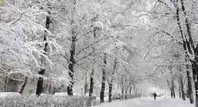 پیش بینی هواشناسی شنبه 2 اسفند؛ برف و باران در بیشتر مناطق