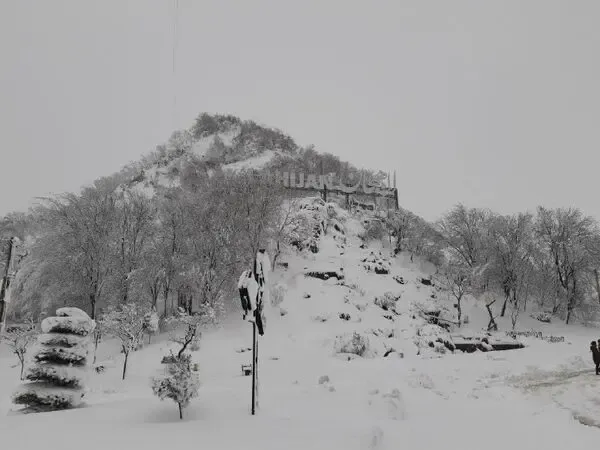 (عکس) بارش برف گیلان؛ به گیلان سفر نکنید!