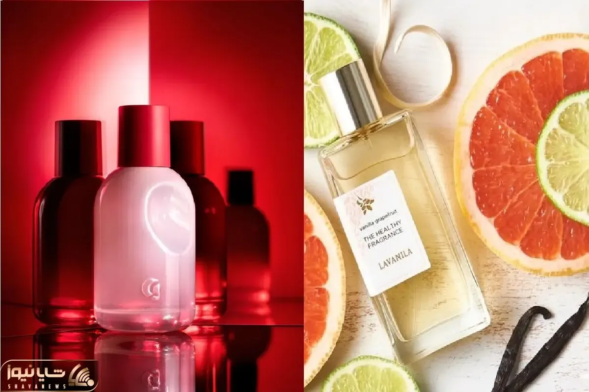 بهترین ایده 2024 برای عطرهای ماندگار قیمت مناسب / با این عطرها دل همه رو ببر