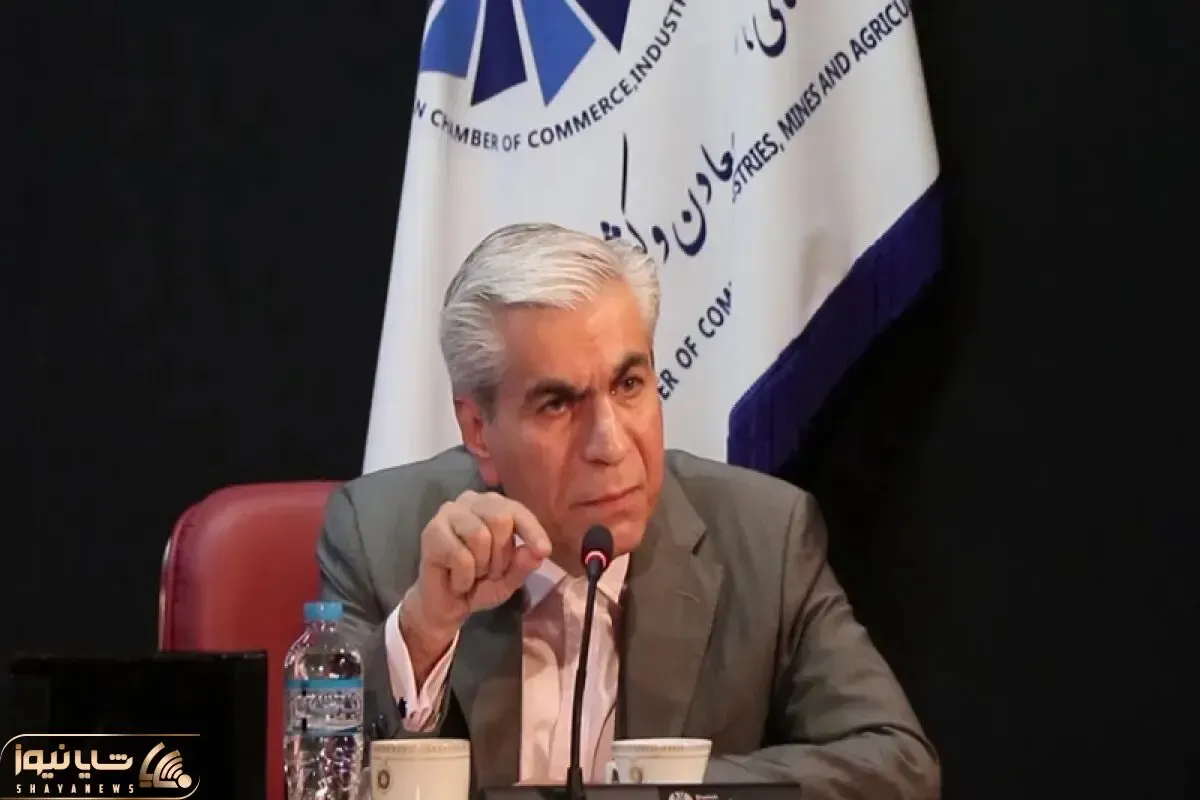 وزیر پیشنهادی اقتصاد شهامت پرداختن به بحث های سیاسی را داشته باشد