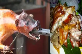 کباب سگ؛ سگای نازنازی ولگردو جمع و میله رو از دهنش فرو میکنن بریونی شده میبرن