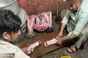 پخت و پز های کثیف؛ کلی پاچه گوسفند بار گذاشتن انقدر غیر بهداشتیه که میخوای بالا بیاری