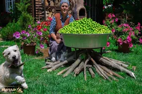 کاشت و برداشت خانگی؛ خانومه با گوجه سبزای حیاطش یه سس جذاب پخته ببینی دهنت آب میفته