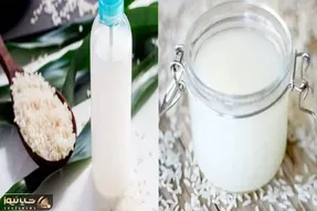 آب برنج رو دور نریز/ راه ساده و ارزان تقویت گیاهان با آب برنج خانگی + روش استفاده