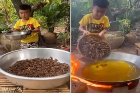 نیم وجبی افتاده جون سوسک ها برای غذا سر نترسی داره ؛ مامان باردارش با چه اشتهایی میخوره!