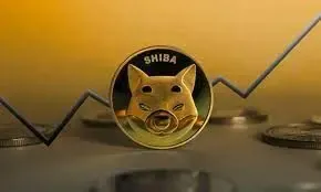 اتفاقی که شیبااینو رو زیر و رو کرد!