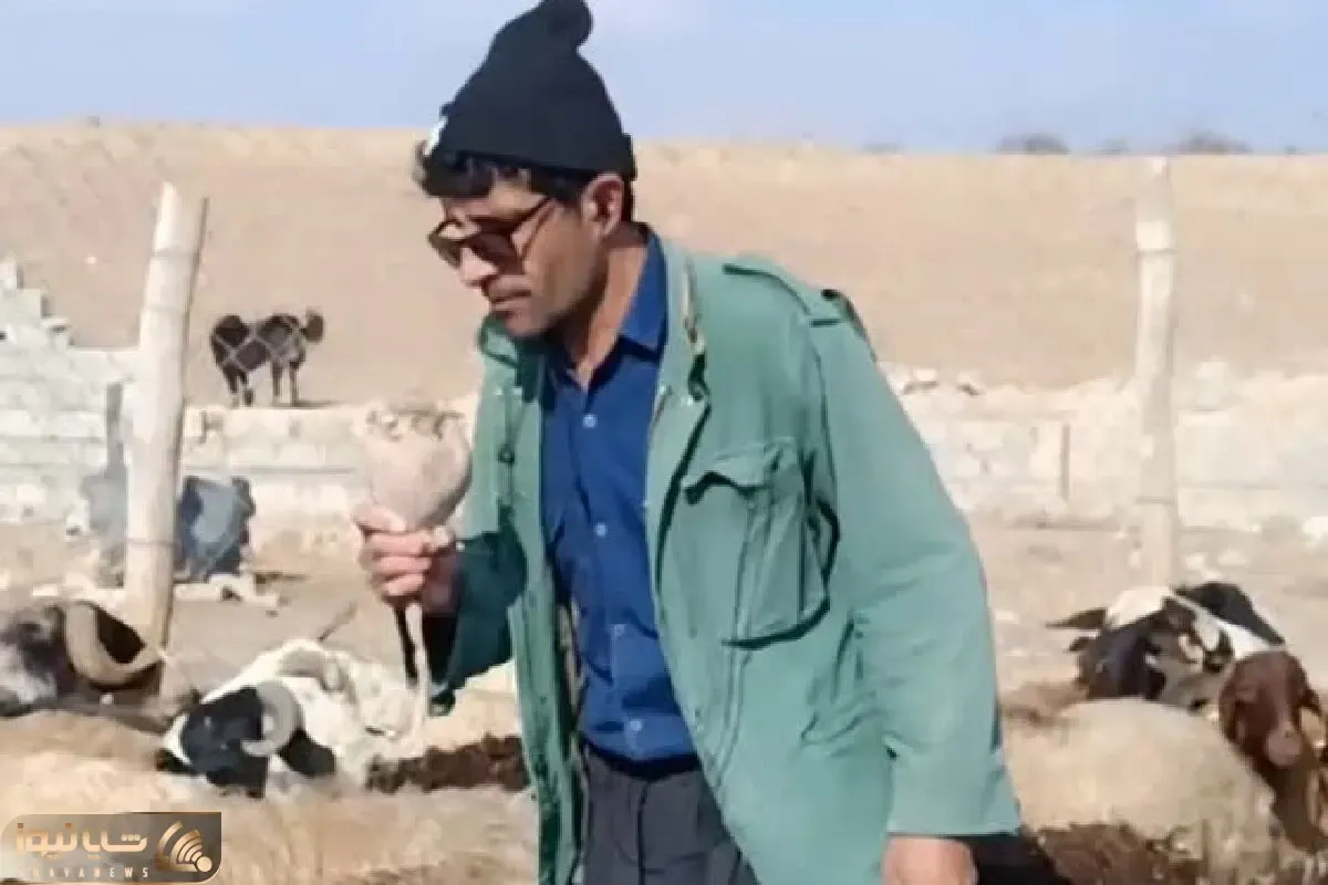 آواز شاد؛ چوپان وسط گوسفندا کنسرت گذاشته گل پری جون میخونه گوسفندا میگن بله رقصشو
