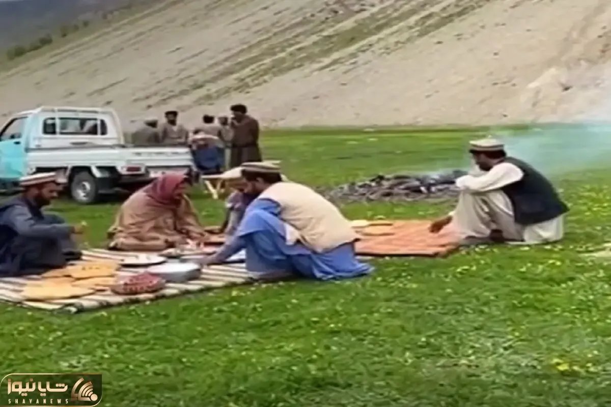 معماری طبیعت؛ پایین کوه کمپ کردن همون لحظه عزرائیل اومد باهاشون احوالپرسی کرد