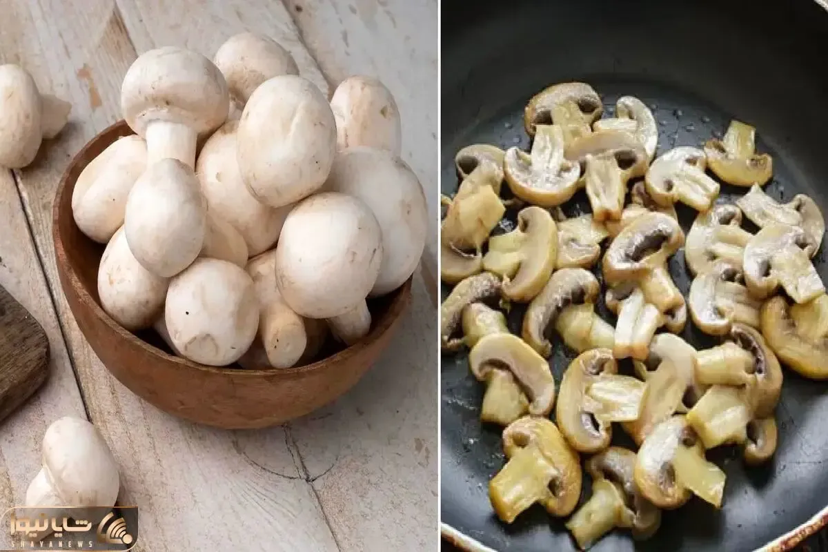 روش های نگهداری قارچ به مدت یک هفته و یک ماه؛ ماندگاری بدون ذره ای تغییر رنگ و مزه