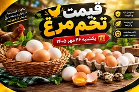 قیمت تخم‌ مرغ امروز یکشنبه 26 مهر 1405 / شانه تخم مرغ 30 عددی سیمرغ چقدر شد؟