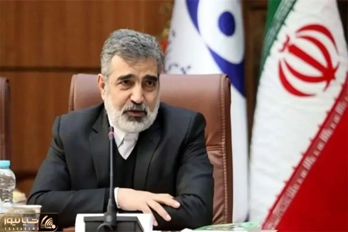صلاح نیست الان به دشمن درمورد سایت‌های آسیب دیده اطلاعات دهیم