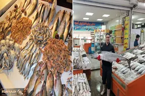 بهترین بازار های ماهی در تهران / یه عیده و سبزی پلوش با ماهی ازینجا تازه و ارزون بخر