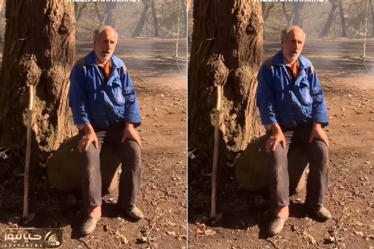 آواز محلی؛ پیرمرد جنگلبان آهنگ گیلکی رو چنان با سوز و ناله میخونه که دلت گریه میخواد