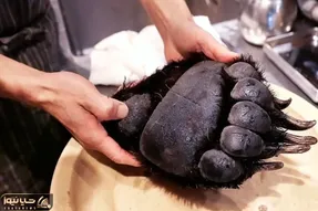 غذای ژاپنی؛ پنجه سیاه خرسو انداختن تو آب جوش با موچین موشو کندن باهاش سوپ لاکچری پختن
