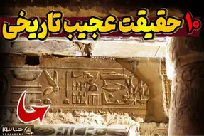 عجایب؛ از مورچه‌ای که زخم انسان رو بخیه میزنه تا خرس ایرانی که شد سرباز ارتش لهستان