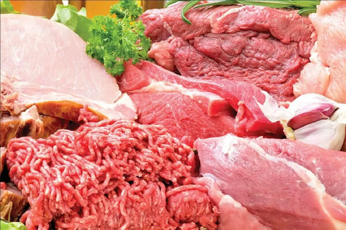 قیمت گوشت امروز سه شنبه 3 شهریور 1405 / گران‌ترین و ارزان‌ترین گوشت کدام است؟
