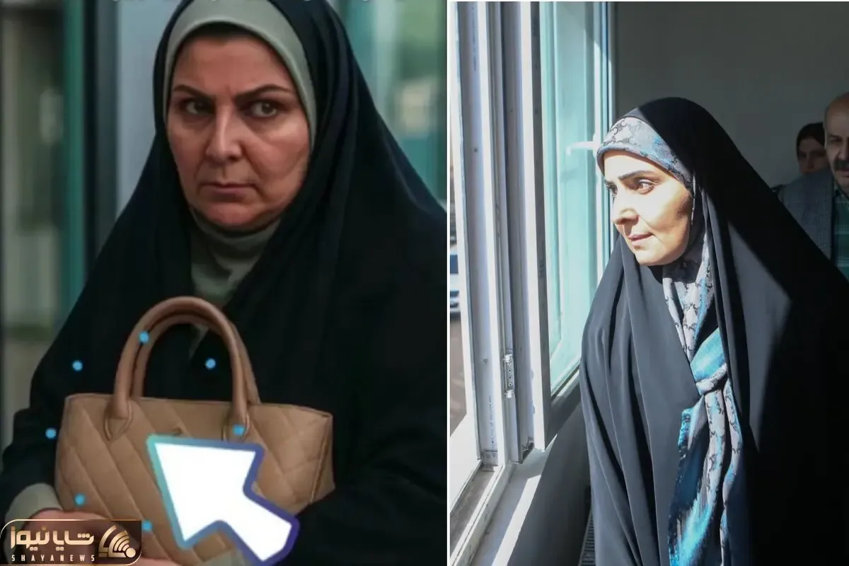 فارغ التحصیل دانشگاه آزاد و منصب وزارت؛ همه چیز درباره خانم وزیری که کیفش خبرساز شد