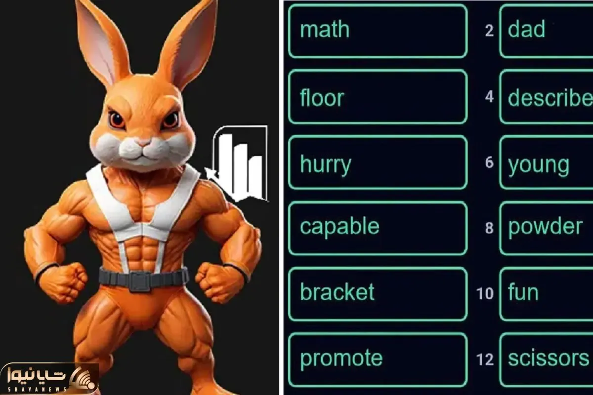 کد انیگما راکی رابیت (rocky rabbit) امروز چهارشنبه 28 شهریور + آموزش وارد کردن