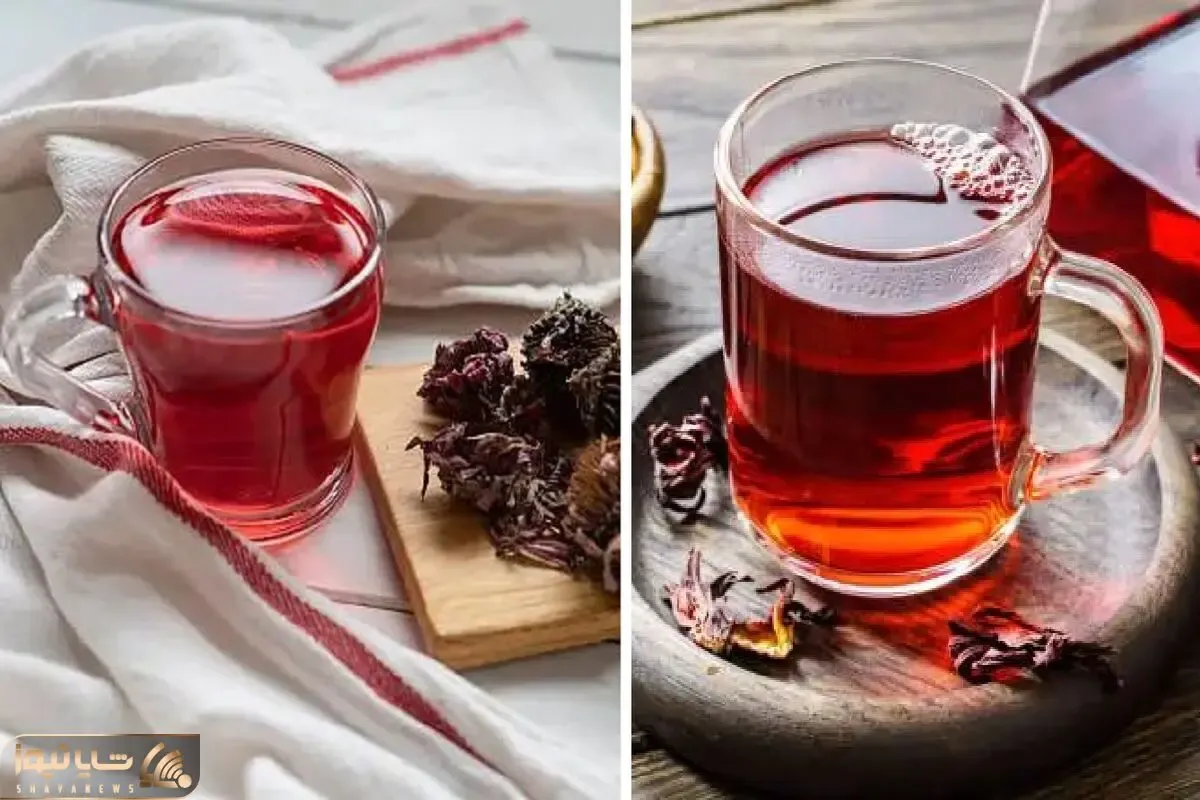 بیشترین فواید چای ترش برای لاغری؛ چیزی که خیلی ها نمیدونن و برای کاهش وزن ازش غافلن