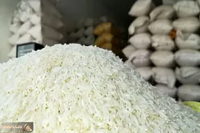 قیمت هر کیلو برنج ایرانی چند؟