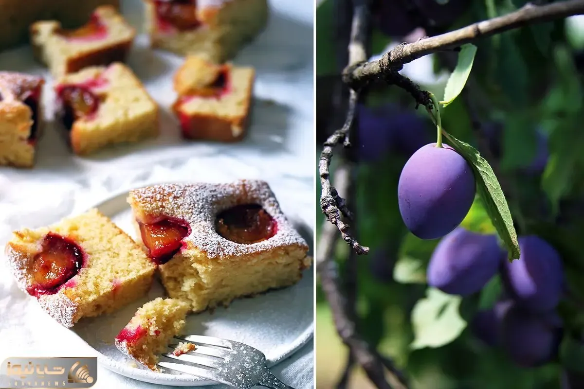 طرز تهیه کیک آلو؛ ترکیبی خوشمزه با بافتی نرم و ترش و شیرین