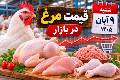 قیمت مرغ امروز شنبه 9 آبان 1405 / مرغ کامل و فیله چقدر شد؟