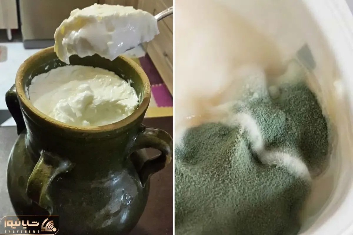 ماست خوشمزت هی خراب میشه تو رو حرص میده؟ با ترفندای نگهداری کپک از کنارشونم رد نمیشه