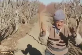 آواز شاد؛ پیرمرد ریزه میزه با آهنگ ای دل بلایی دلبر بالا بلایی دلبر چ رقصی رفت شاباشو