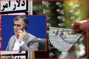 رئیس کل بانک مرکزی وعده کنترل بازار ارز را داد