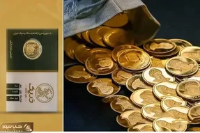 در بازار امروز یکشنبه 24 اسفند 1404 هر قطعه نیم سکه چند؟