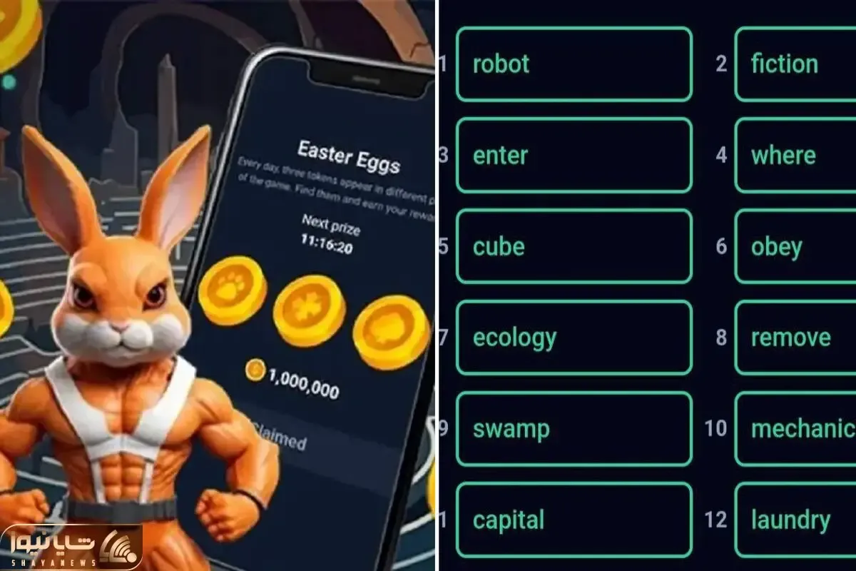کد انیگما راکی رابیت (rocky rabbit) امروز جمعه 16 شهریور + آموزش وارد کردن
