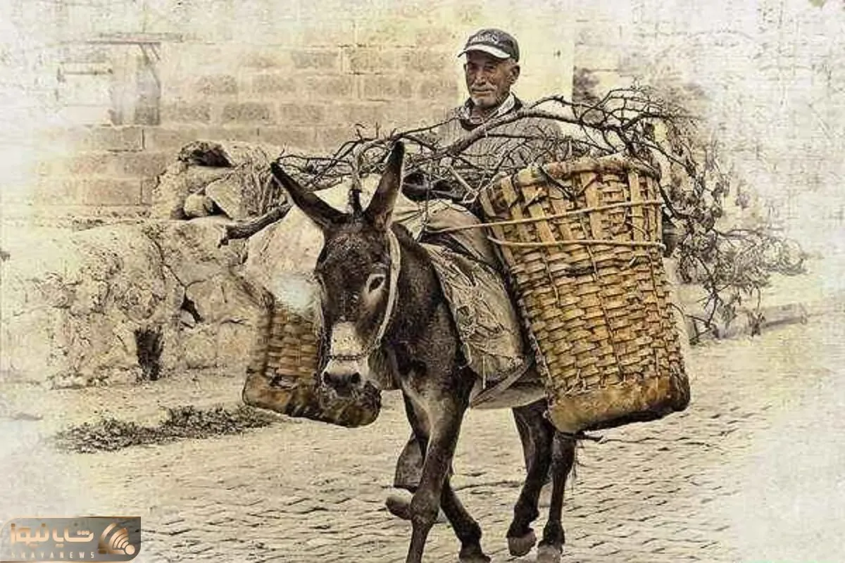 آواز محلی؛ پسرک تو کوه و بیابون سوار بر الاغ چه با بغض و اشک از جدایی میخونه