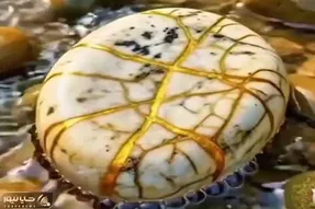 معماری طبیعت؛ سنگه بیرونش خوشگله ها ولی بعد از شکستن یه چیز دیگس نمیشه ازش چشم برداشت