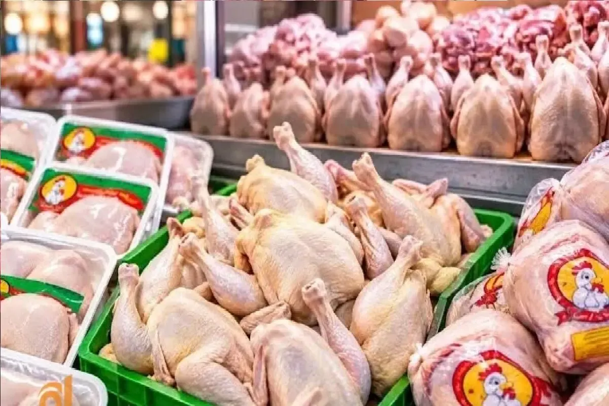 قیمت مرغ امروز یکشنبه 29 شهریور 1405 | فیله مرغ را چقدر بخریم؟