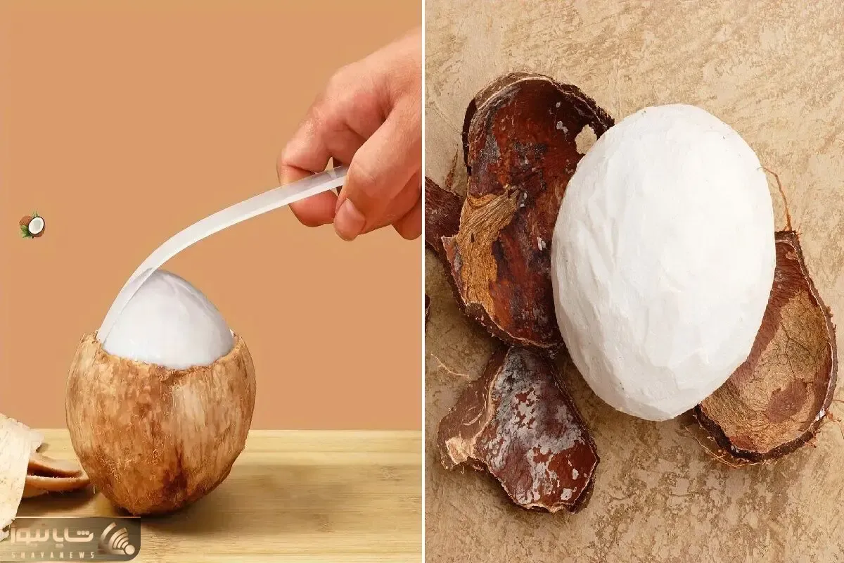 طریقه پوست کندن نارگیل / با این روش گرد درآووردنش مثل آب خوردنه فقط تو فریزر جا داری؟