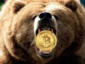 خرس ها در تلاش  گرفتن تاج پادشاهی بیت کوین؟