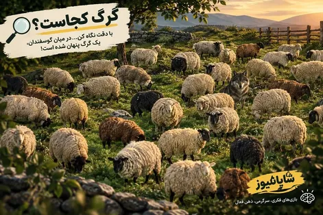 بازی فکری؛ بین گله گوسفندها گرگ را پیدا کن!
