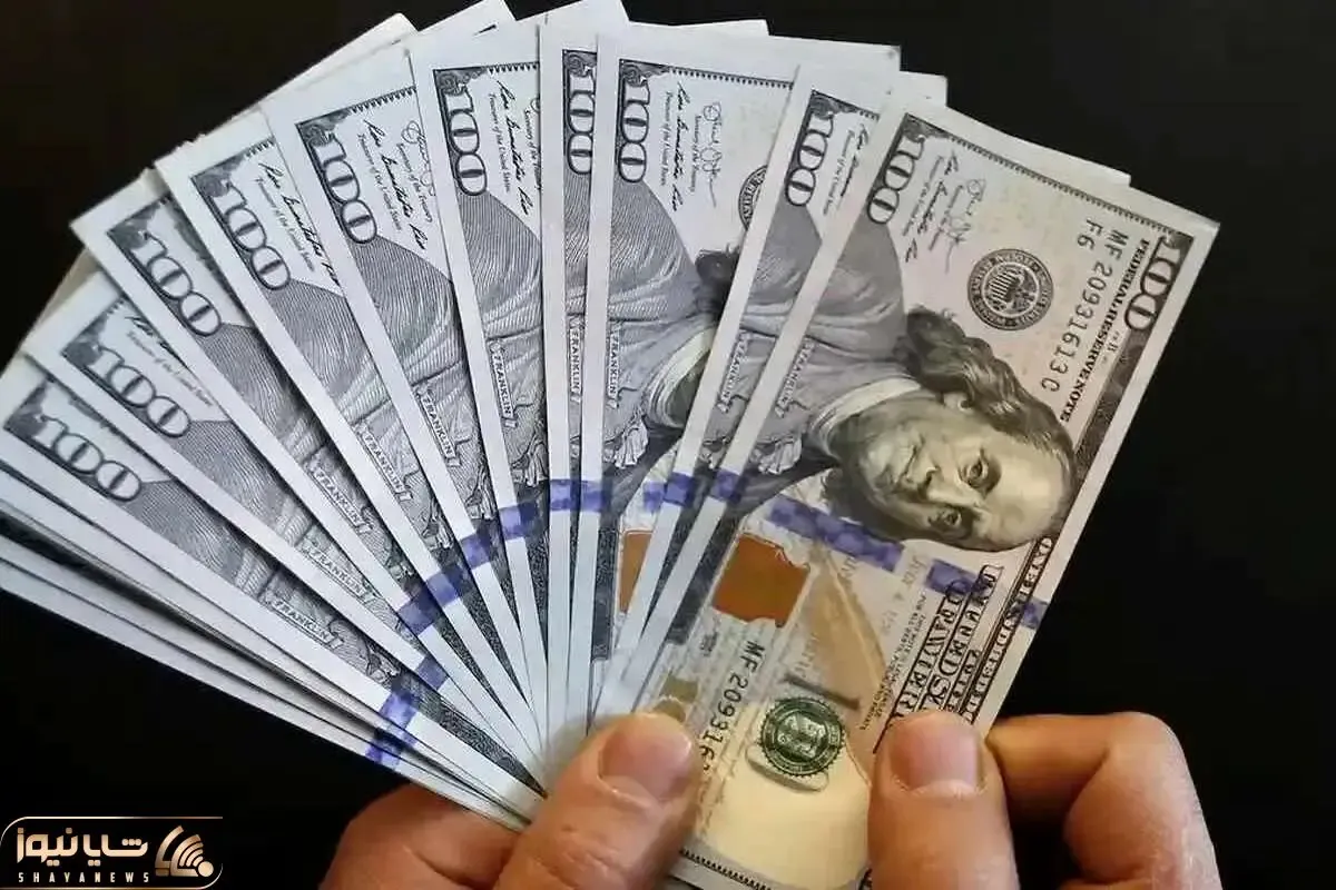 قیمت دلار امروز ۲ دی ۱۴۰۳ / کاهش قیمت دلار با سیگنال بانک مرکزی