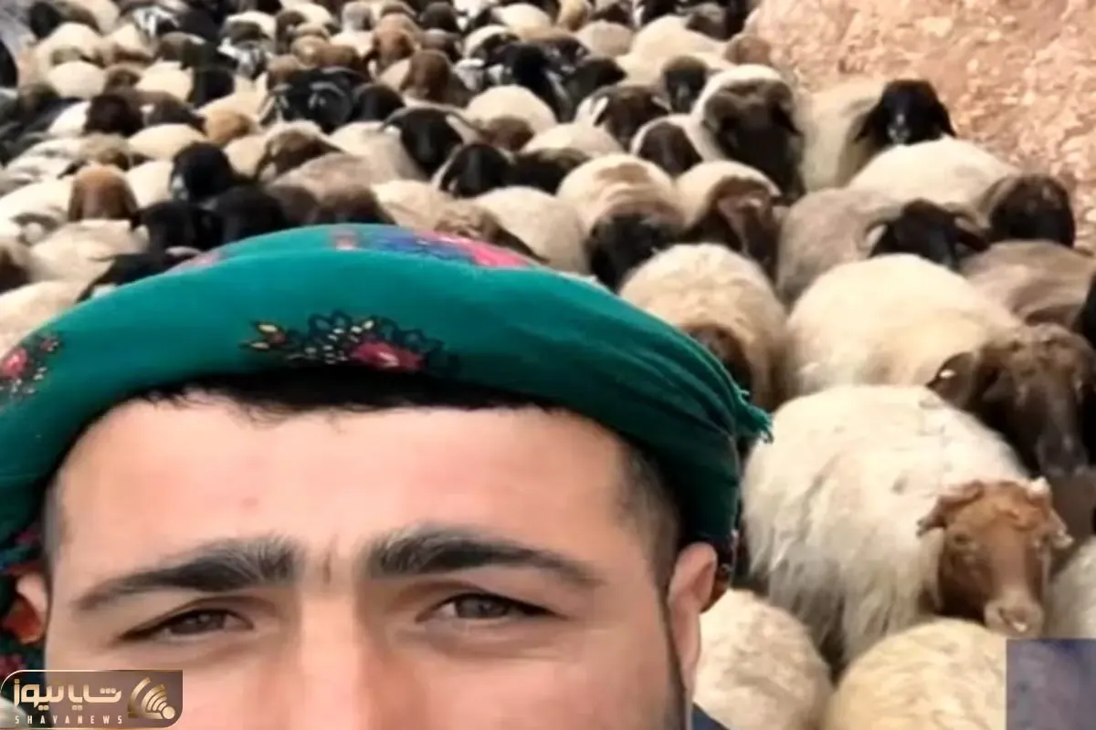 آواز محلی؛ چوپانه جلو میلیون ها گوسفند داره آهنگ میخونه ببعی ها سرخوش شدن چه خوش صداس