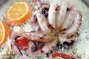 قوت لایموت؛ بچه اختاپوس ها رو با تور جمع و خشک میکنن مثل چیپس کنار غذا سرو میکنن
