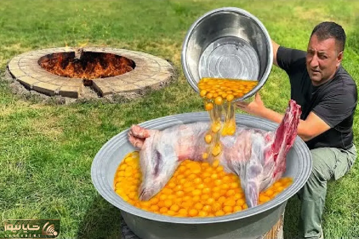 آشپز کارکشته؛ تخم مرغ رو از زیر مرغ ها میکشه بیرون با یه بره عظیم جسته املت بره میپزه