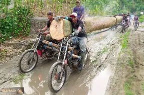 حمل و نقل  ابلهانه؛ روستایی ها تنه درخت ستبر رو بریدن و به حجای تریلی با موتور بردن