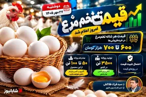 قیمت تخم مرغ امروز دوشنبه 27 مهر 1405 / قیمت هر شانه به چقدر میرسد؟
