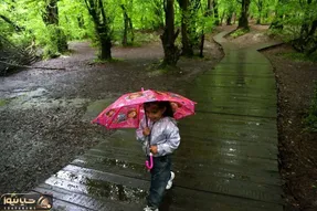 کدام استان‌ها بارانی می‌شوند؟