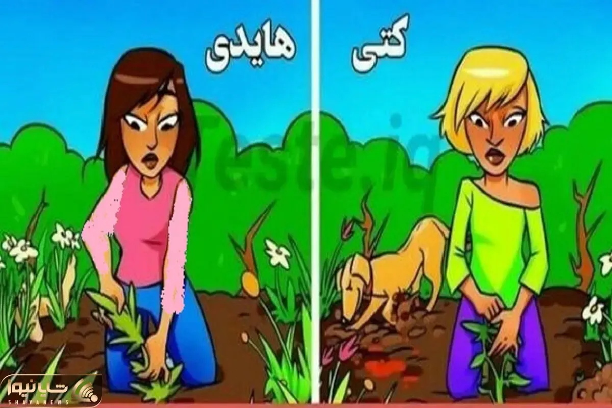 تست هوش تصویری؛ اگه آیکیوت سربه فلک میکشه بگو کدوم از خانما قاتله همسرشه؟