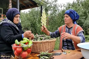 کاشت و برداشت خانگی؛ کل مواد لوبیا پلو رو کاشتن ترفند انبار کردنشو چایی تهش چه چسیبید