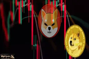 پیش بینی جنجال برانگیز ازشیبااینو دوج کوین!!
